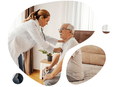 HOMECARE SEGMENTS